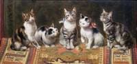Cat Family