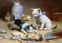 Studio Assistants