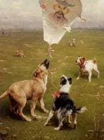 Up and Away Dogs Chasing the Kite