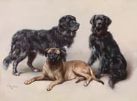 Trio