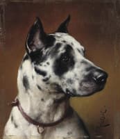 The great Dane