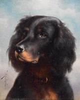 Portrait of a Dog
