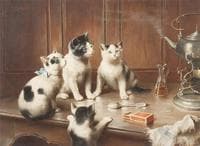 Kittens at Teatime