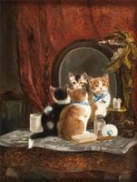Mirror, mirror...