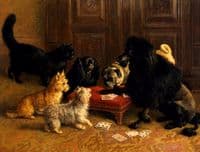 The Card Game