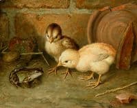 You Are No Chicken