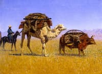 Migration of the Kirghiz