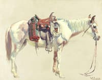 Study of a Horse