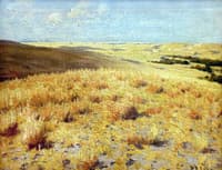 Wyoming Plains