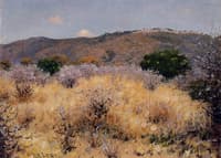 On the Moshi Plains