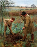 Planting A Tree