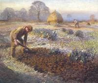 A Frosty March Morning