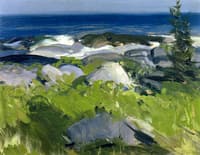 Vine Clad Shore - Monhegan Island