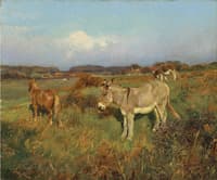 A Pony and Donkeys