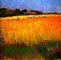 Cornfield