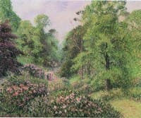 The Rhododendrons at Kew