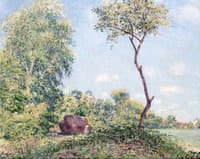 Printemps:  Trembles et acacias (Spring with Acacias)