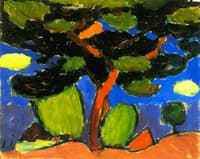 Pine Tree