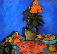 Still LIfe with Begonia