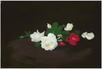 White and pink roses on a round table