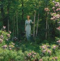 The Edge of the Woods