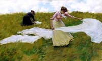 A Breezy Day