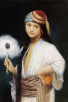 The Feathered Fan