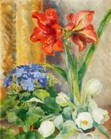Still life with Amaryllis