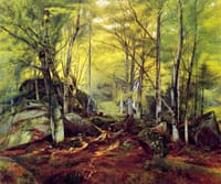 Woodland Scene