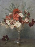 Carnations