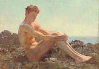 The Sun-bather