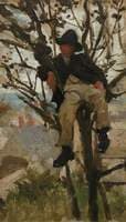 Boy in Tree