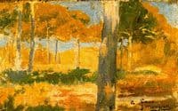 Paisaje