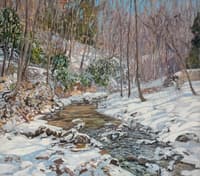 Woodland Brook