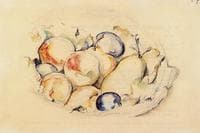 Fruits