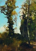 Forest clearing in Purkersdorf