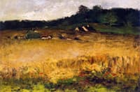 Wheat Field