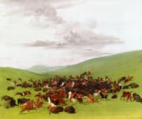 Buffalo Hunt, A Surround by the Hidatsa
