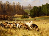 The Pack at Full Cry