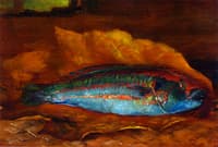 Study of the Parrot Fish