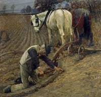 The Last Furrow