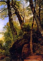 Black Birches, Catskill Mountains