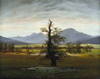 The Solitary Tree