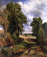 The Cornfield