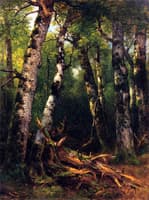Group of Trees