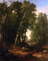Woodland Brook