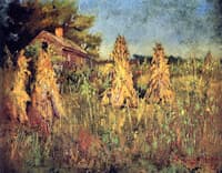 Home and Harvest