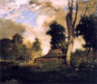 Carolina Sunlight