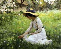 Spring Flowers