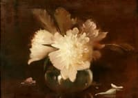 Peonies